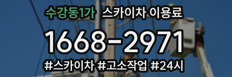 수강동1가 스카이차 이용료