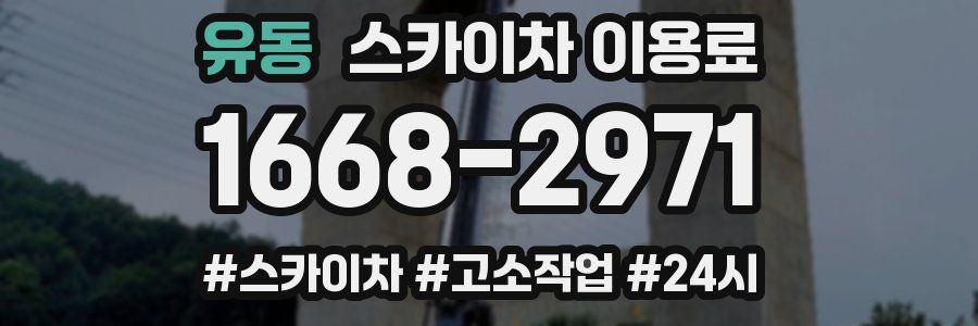 유동 스카이차 이용료
