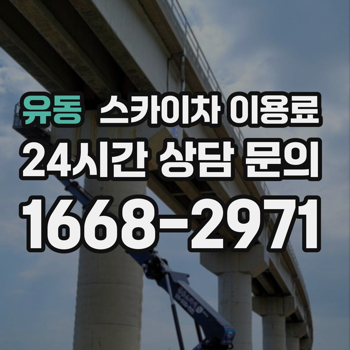 유동 스카이차 이용료