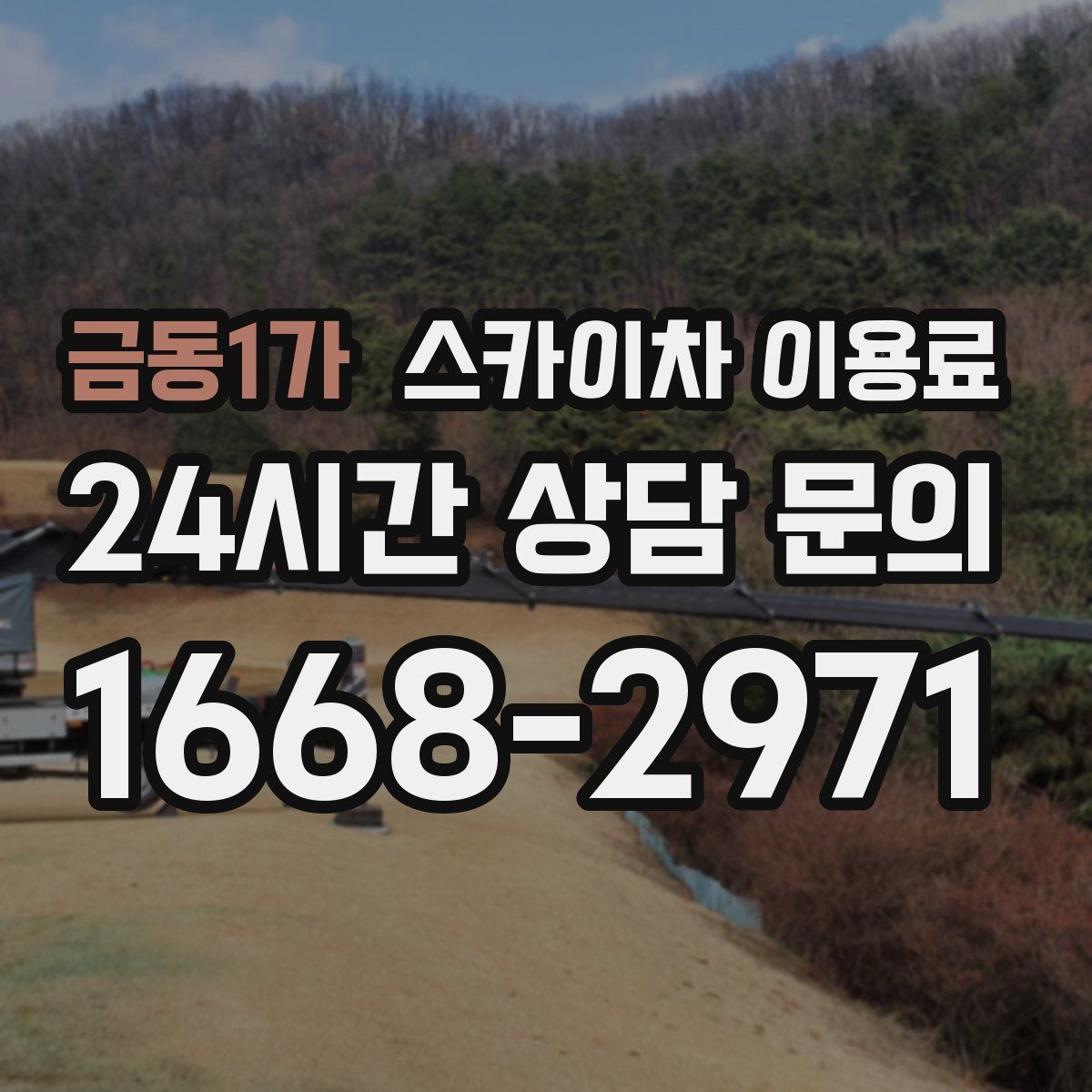 금동1가 스카이차 이용료