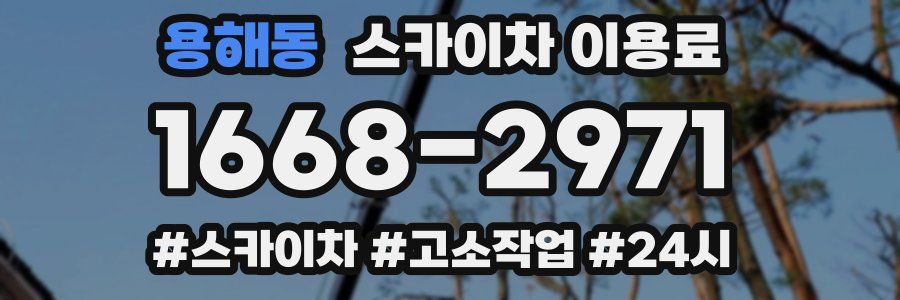 용해동 스카이차 이용료