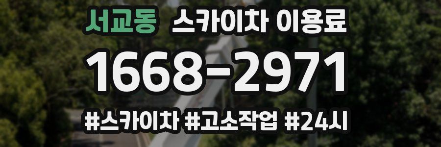 서교동 스카이차 이용료