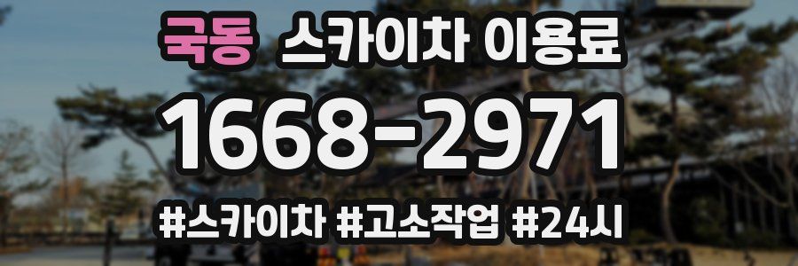 국동 스카이차 이용료