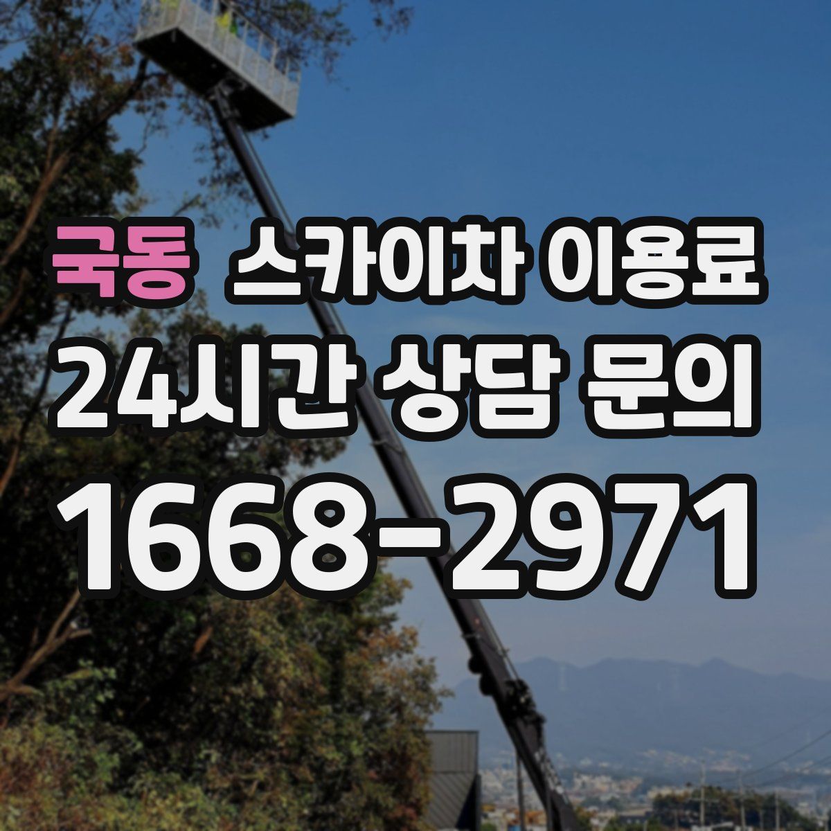 국동 스카이차 이용료
