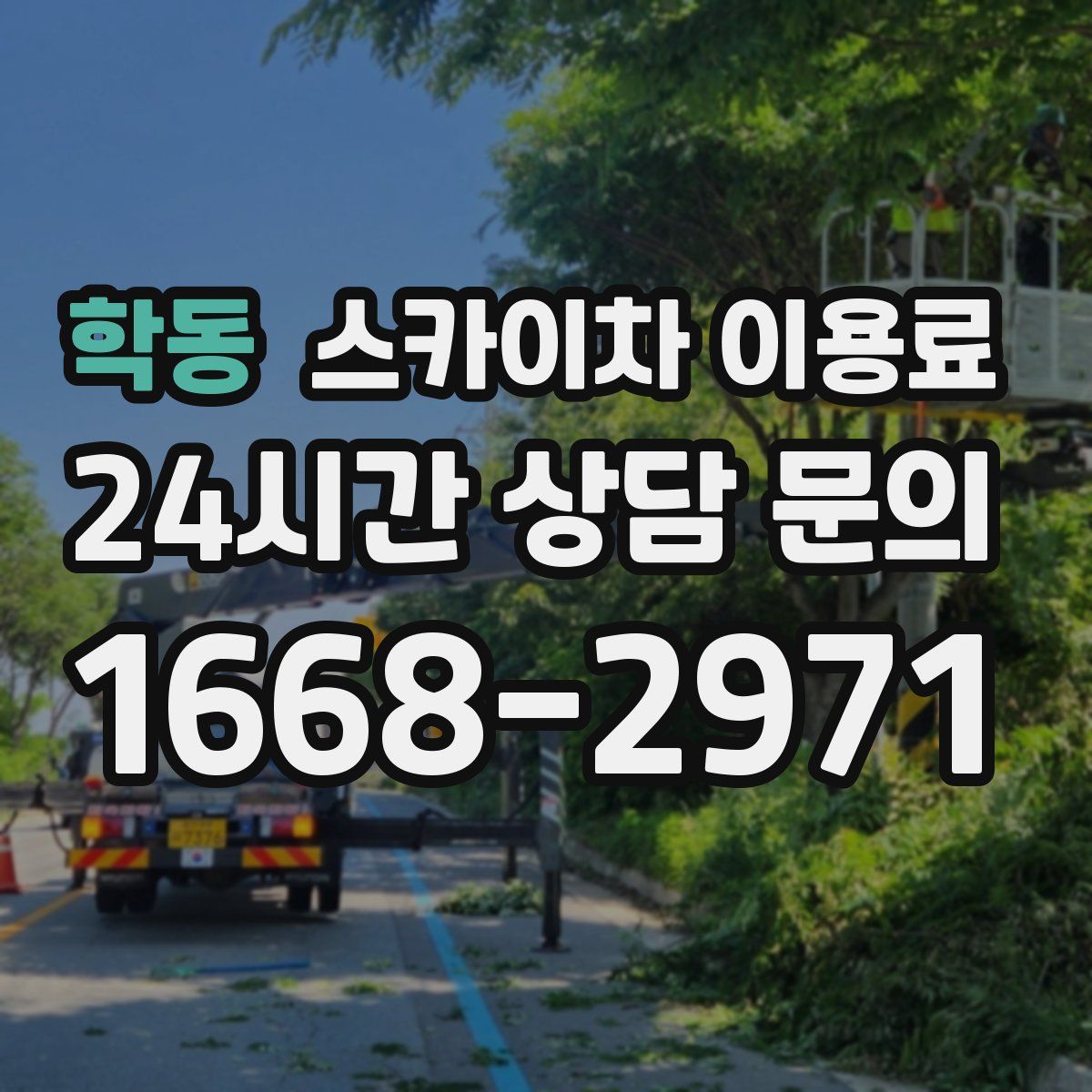 학동 스카이차 이용료
