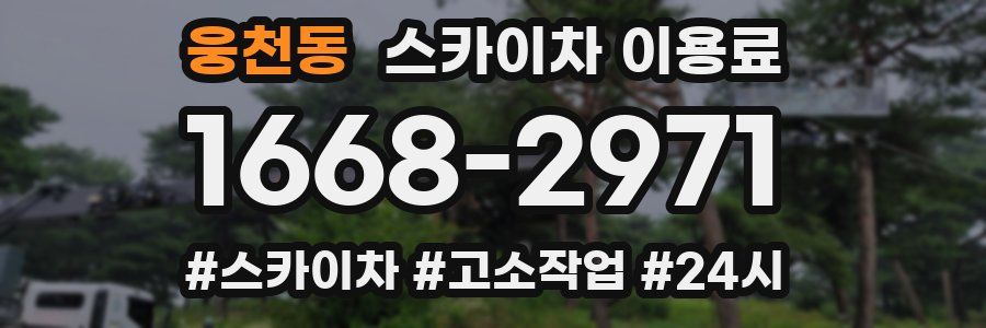 웅천동 스카이차 이용료