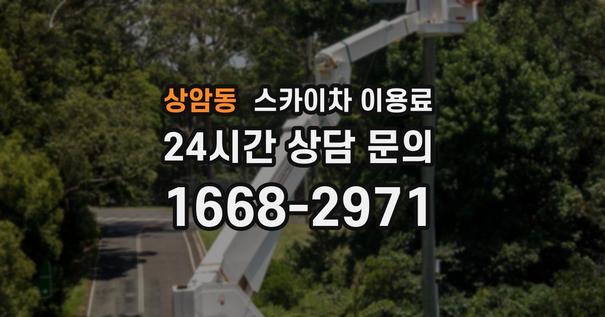 상암동 스카이차 이용료