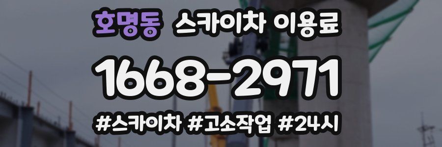 호명동 스카이차 이용료