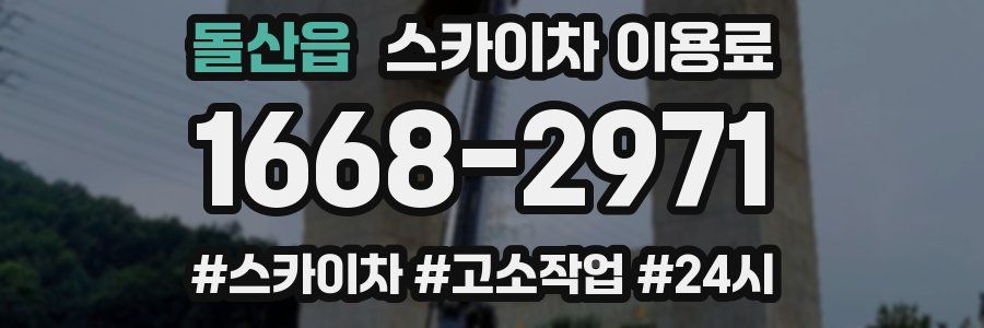 돌산읍 스카이차 이용료