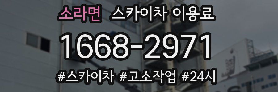 소라면 스카이차 이용료