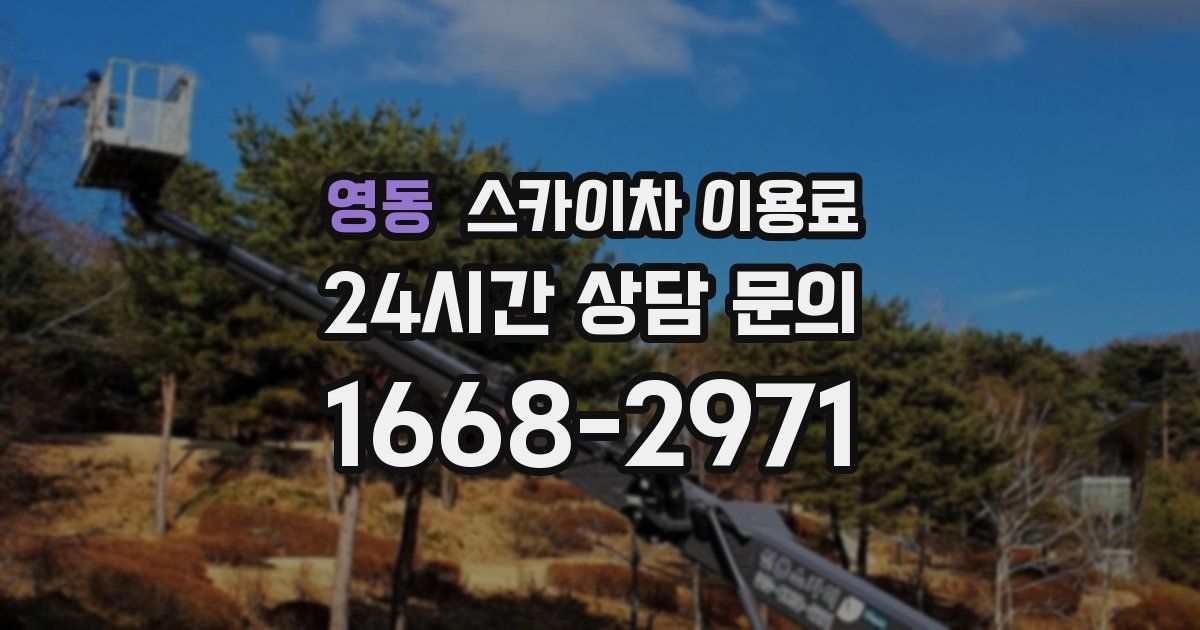 영동 스카이차 이용료