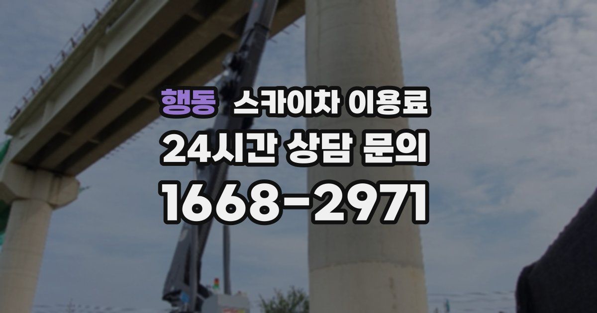 행동 스카이차 이용료