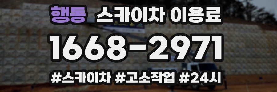 행동 스카이차 이용료