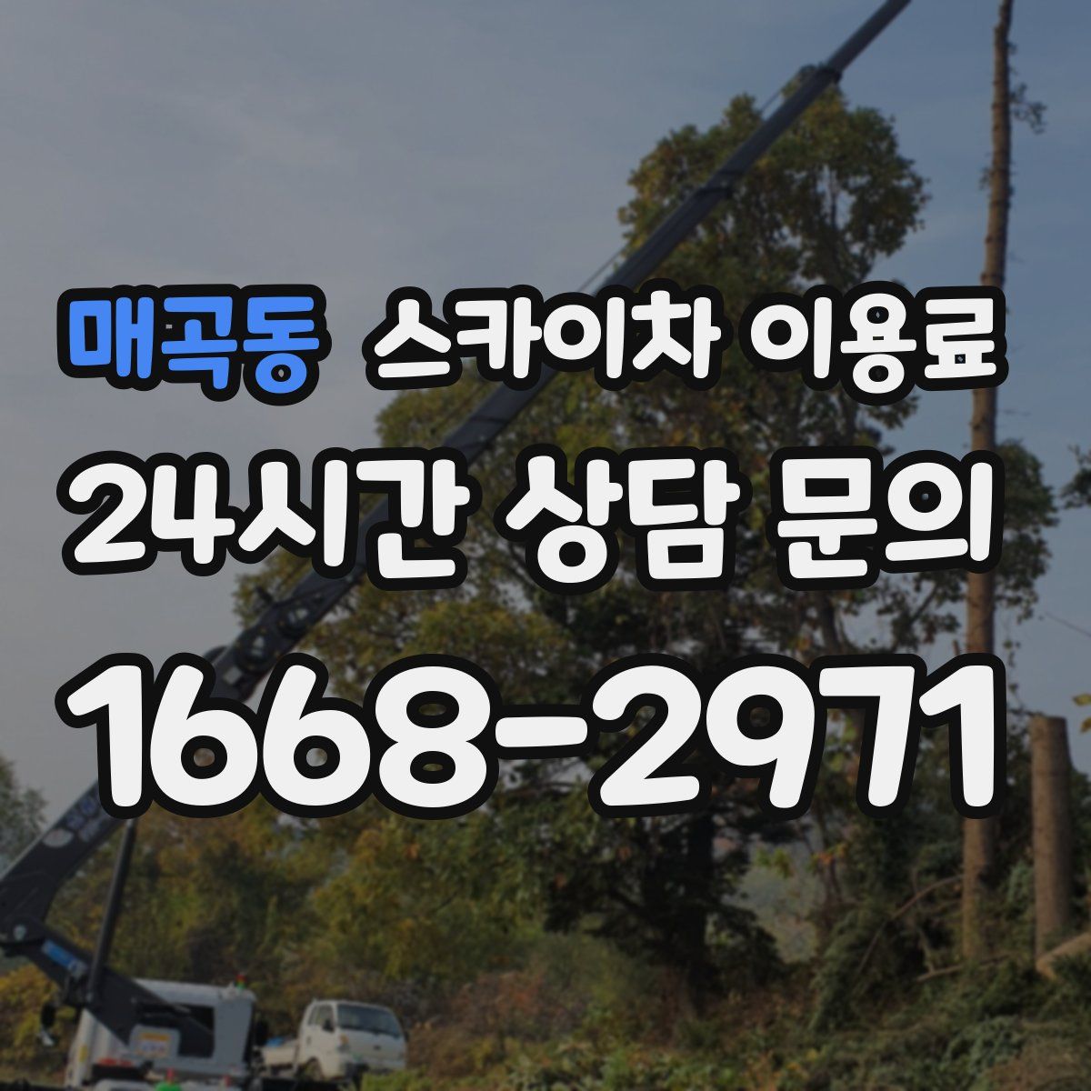 매곡동 스카이차 이용료