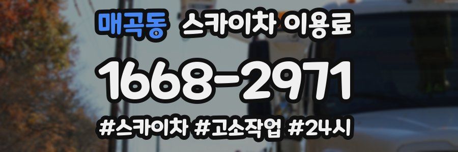 매곡동 스카이차 이용료