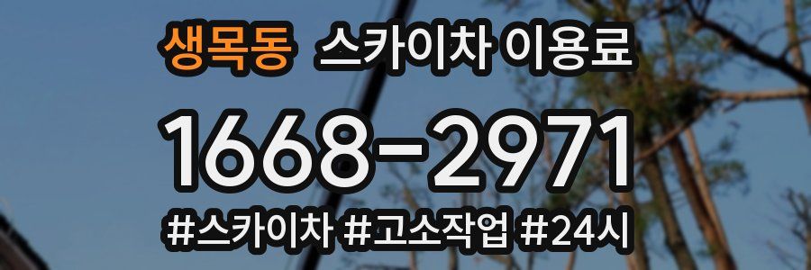 생목동 스카이차 이용료