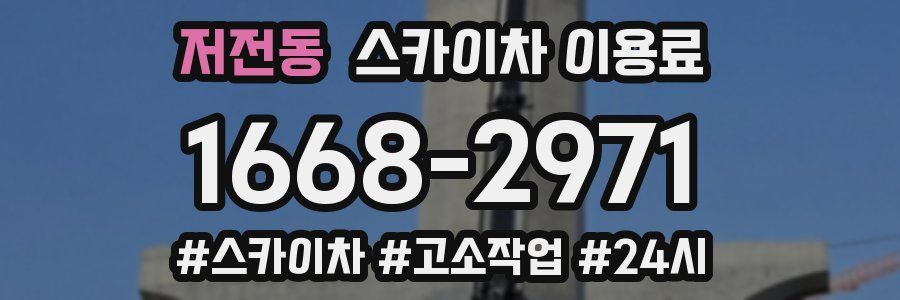 저전동 스카이차 이용료