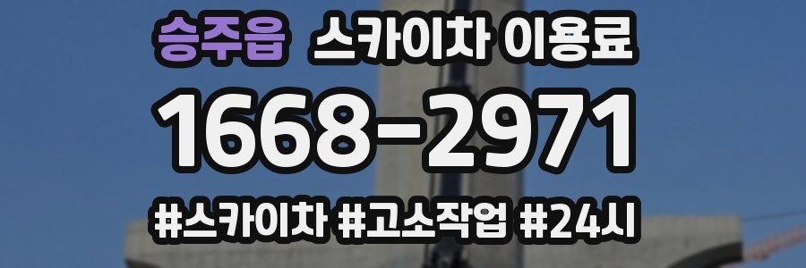 승주읍 스카이차 이용료