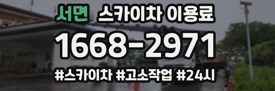 서면 스카이차 이용료