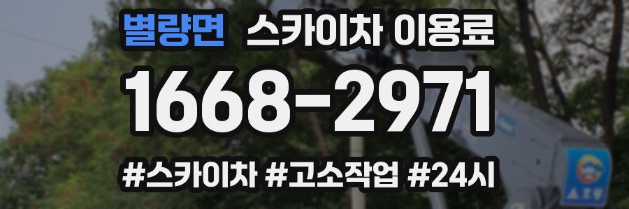 별량면 스카이차 이용료