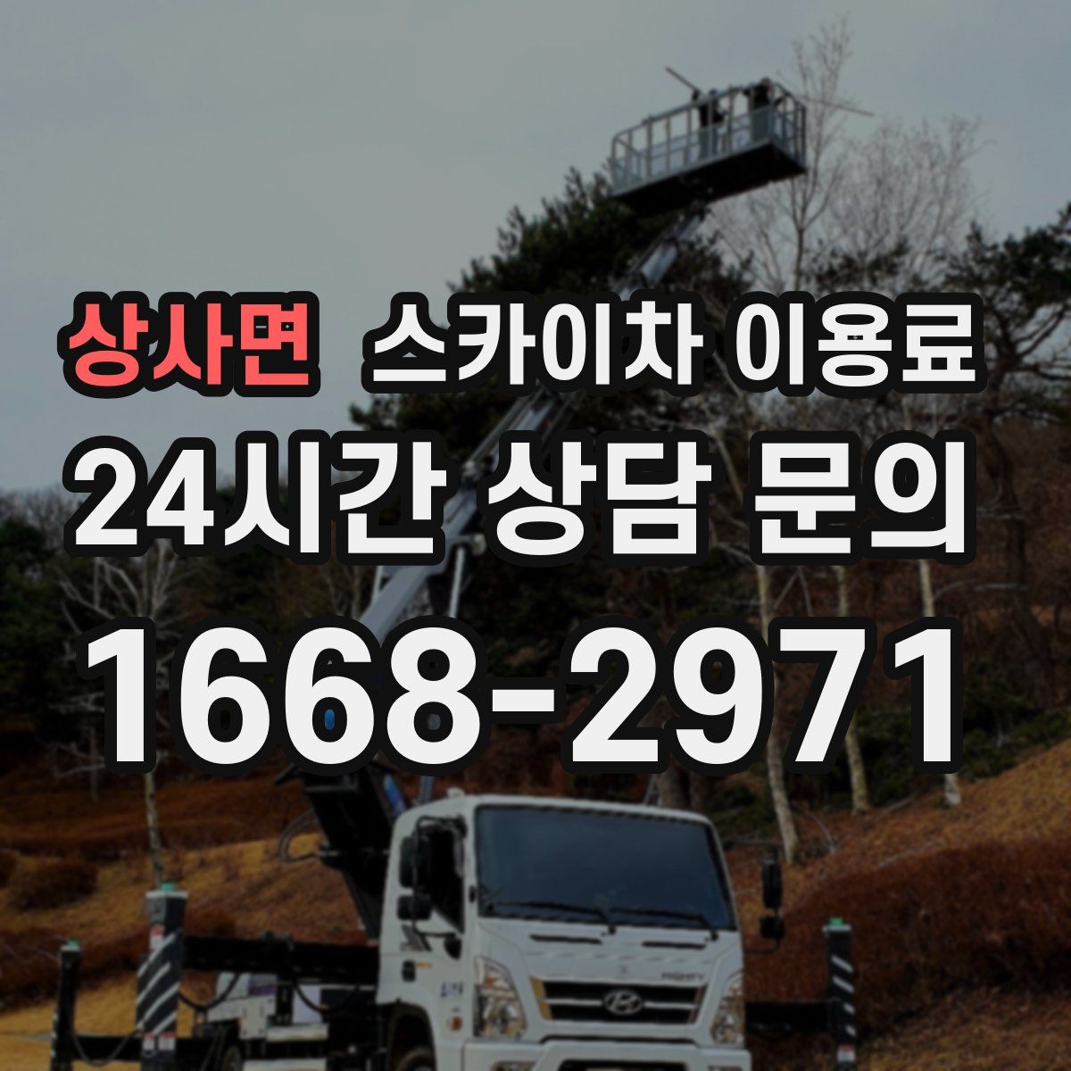 상사면 스카이차 이용료