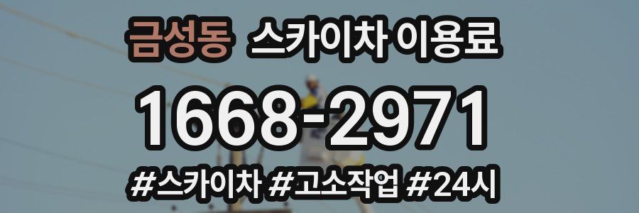 금성동 스카이차 이용료
