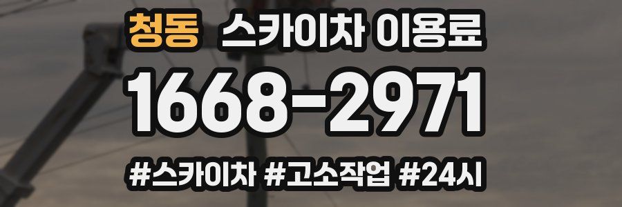 청동 스카이차 이용료