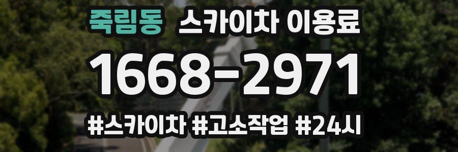 죽림동 스카이차 이용료