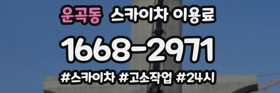 운곡동 스카이차 이용료