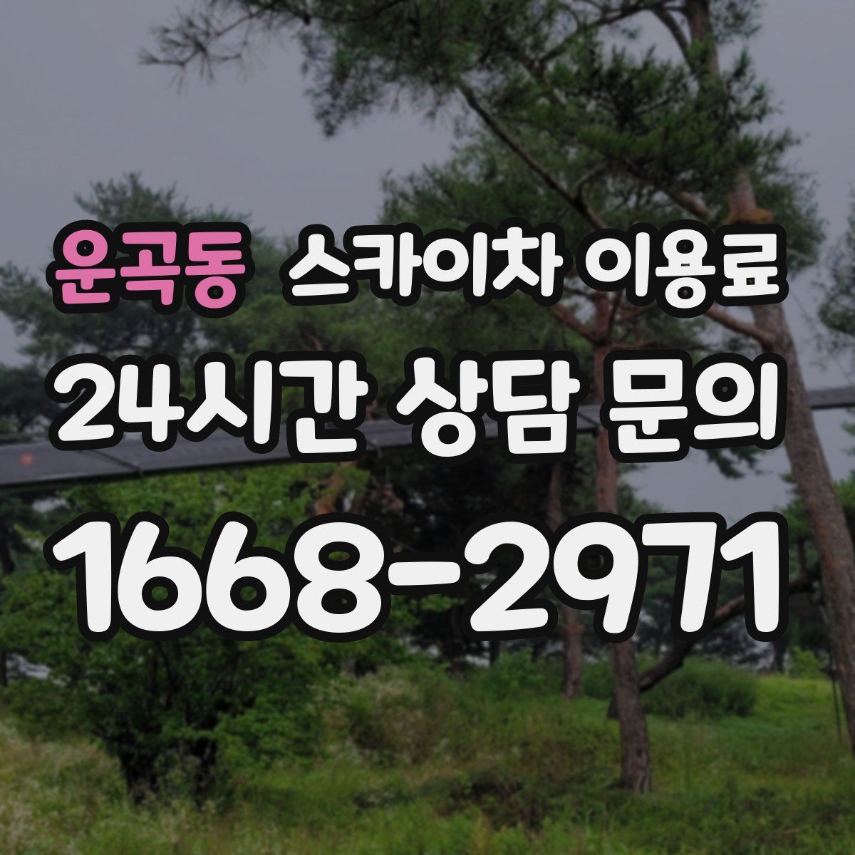 운곡동 스카이차 이용료
