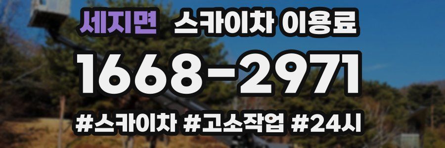 세지면 스카이차 이용료