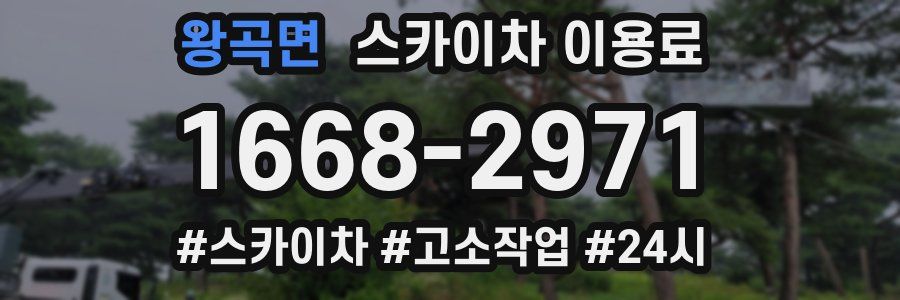 왕곡면 스카이차 이용료