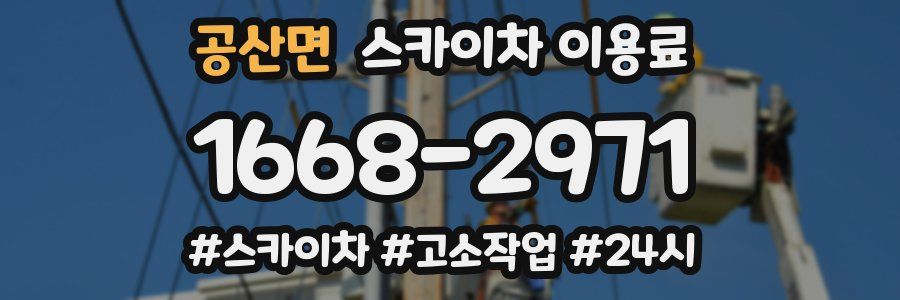 공산면 스카이차 이용료