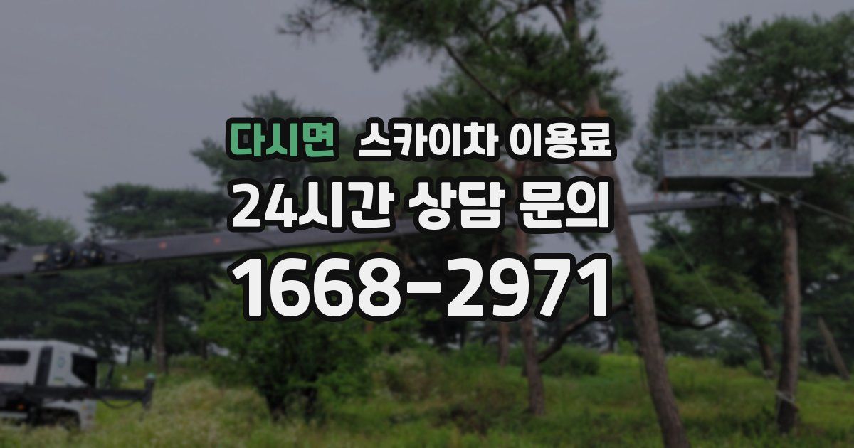 다시면 스카이차 이용료