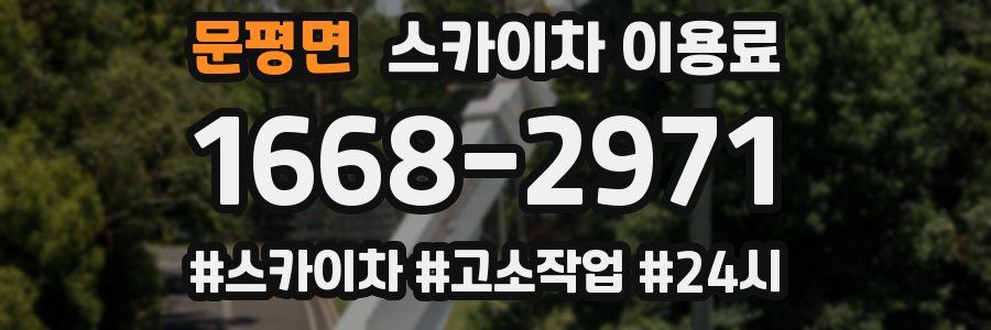 문평면 스카이차 이용료