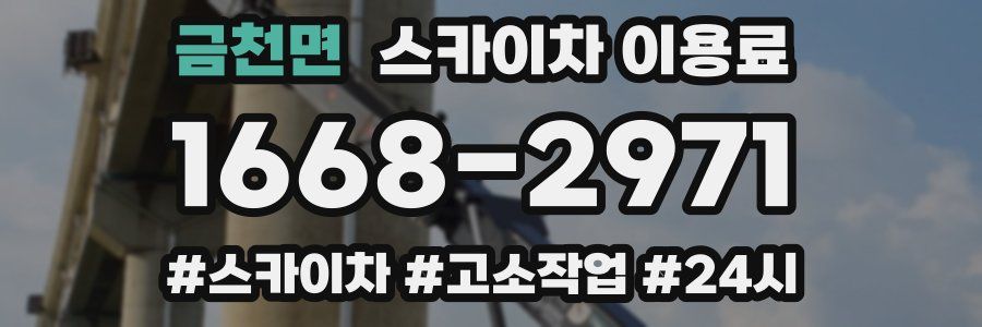 금천면 스카이차 이용료