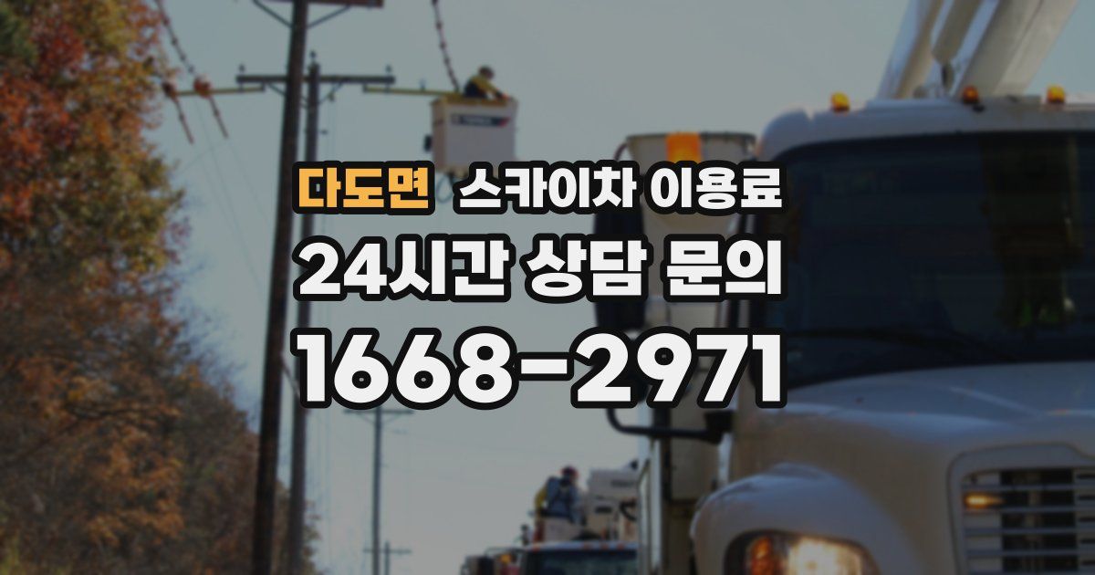 다도면 스카이차 이용료