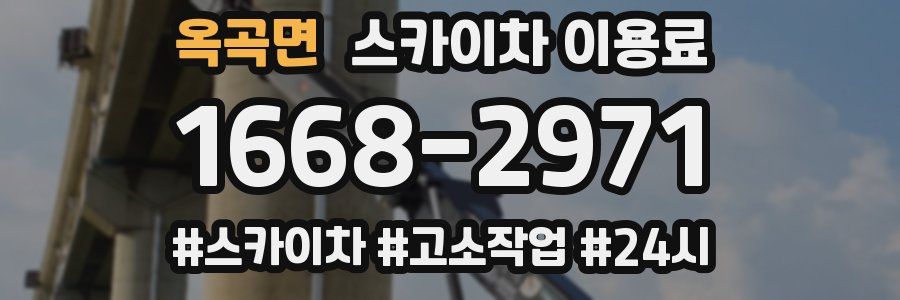옥곡면 스카이차 이용료