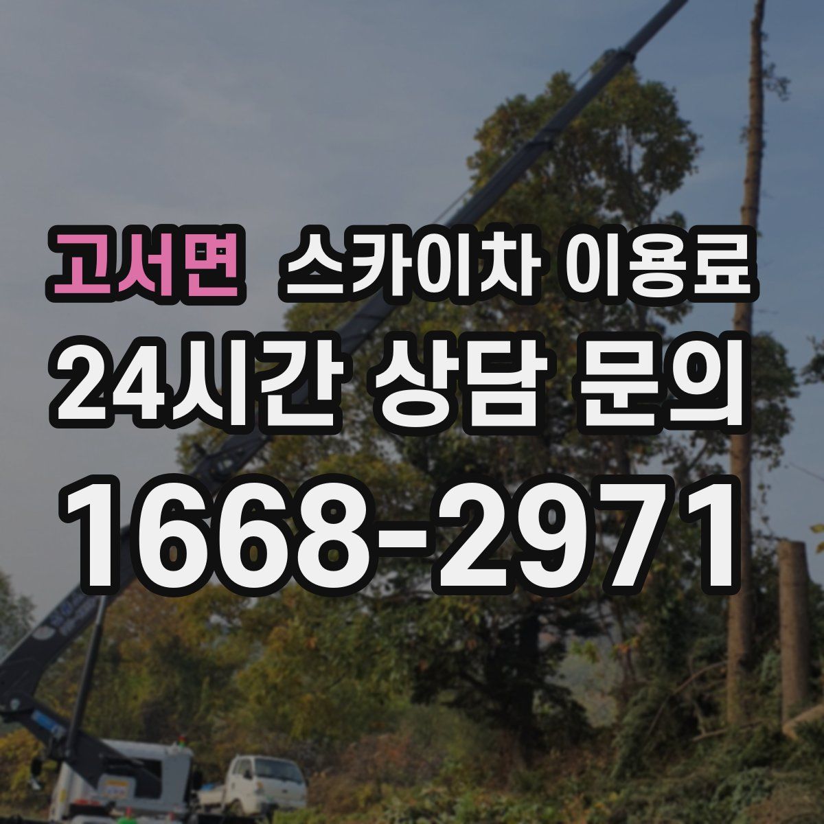 고서면 스카이차 이용료