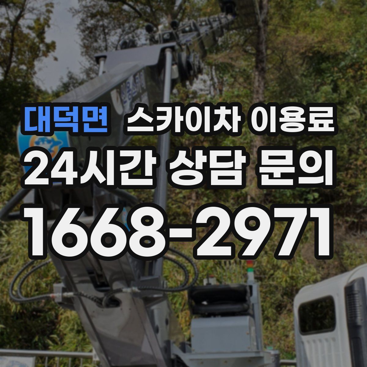 대덕면 스카이차 이용료
