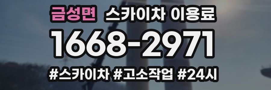 금성면 스카이차 이용료