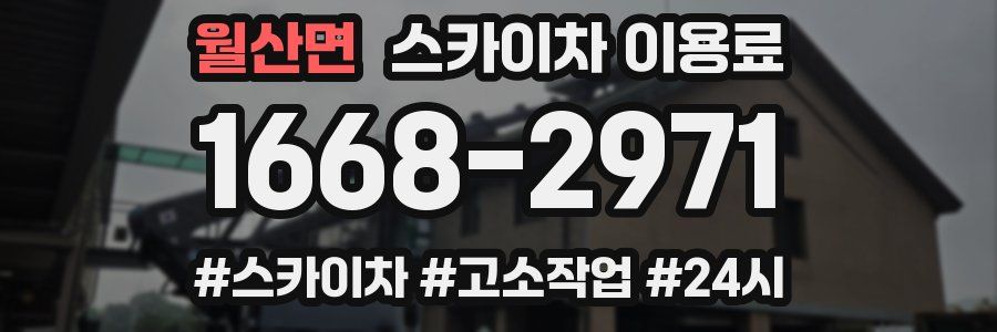 월산면 스카이차 이용료