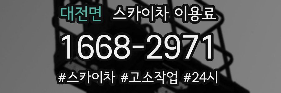 대전면 스카이차 이용료