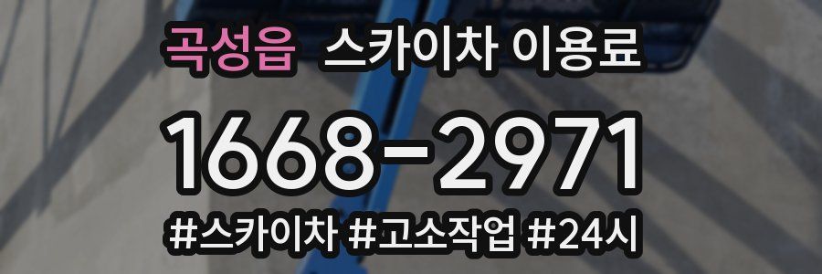 곡성읍 스카이차 이용료