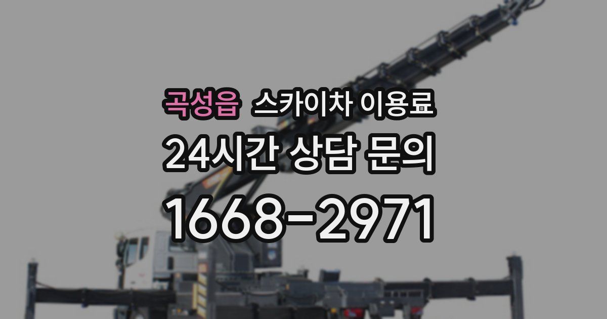 곡성읍 스카이차 이용료