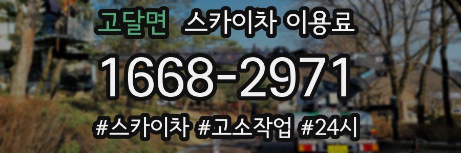 고달면 스카이차 이용료