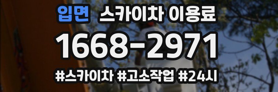 입면 스카이차 이용료