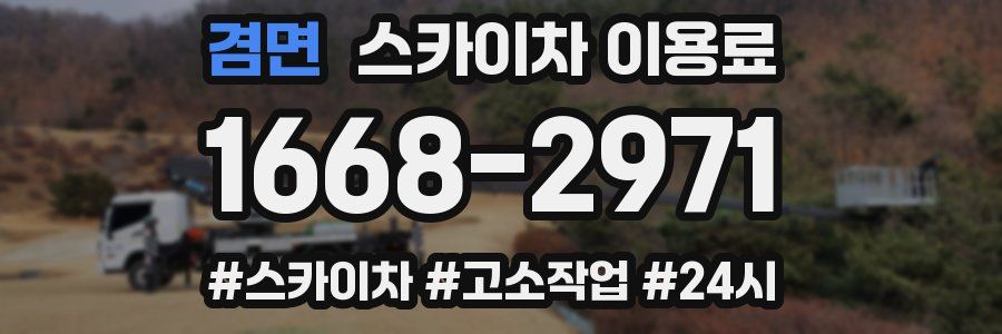 겸면 스카이차 이용료