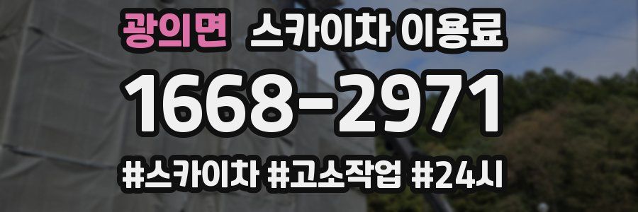 광의면 스카이차 이용료