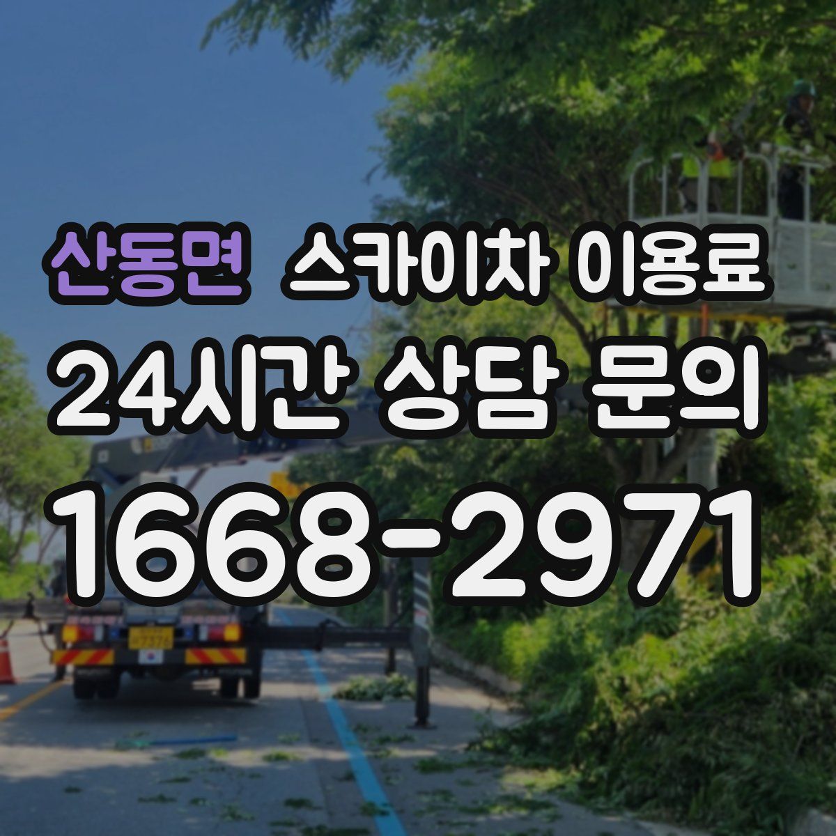 산동면 스카이차 이용료